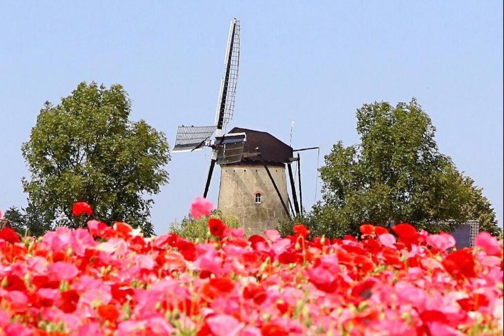 -Nieuw- Luxe & Sfeervol Vakantiehuis Tholen Zewnętrze zdjęcie