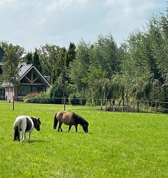 -Nieuw- Luxe & Sfeervol Vakantiehuis Tholen Zewnętrze zdjęcie
